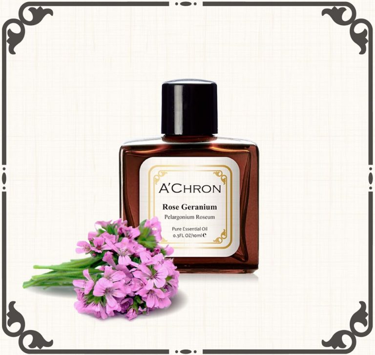 91526103 3069900193032144 2656068090072137728 o 768x727