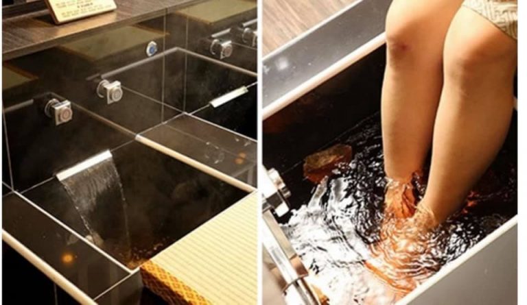 53055758 2249646135290389 4962100189516005376 n 768x445