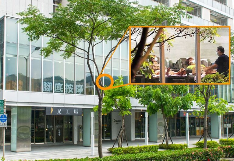 92595381 3437470922954184 1122008623522775040 o 768x529