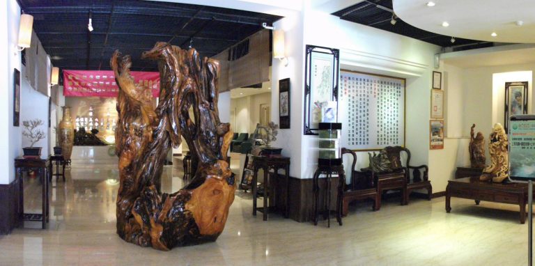 1537432 606544109473844 1064777411712407722 o 768x382