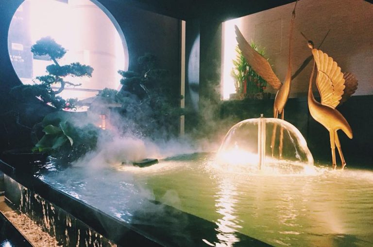 22448586 847577605446910 3265710737857947698 n 768x510