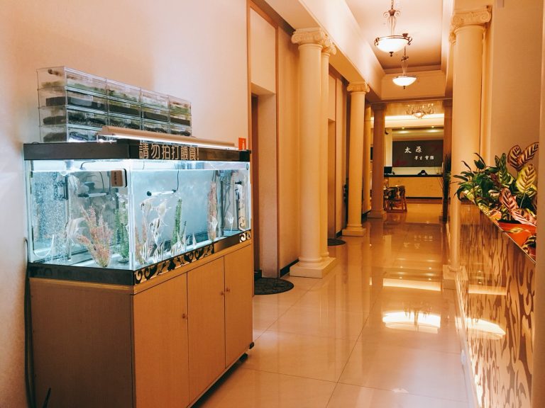 49094824 2015101561911663 8650354993624252416 o 768x576