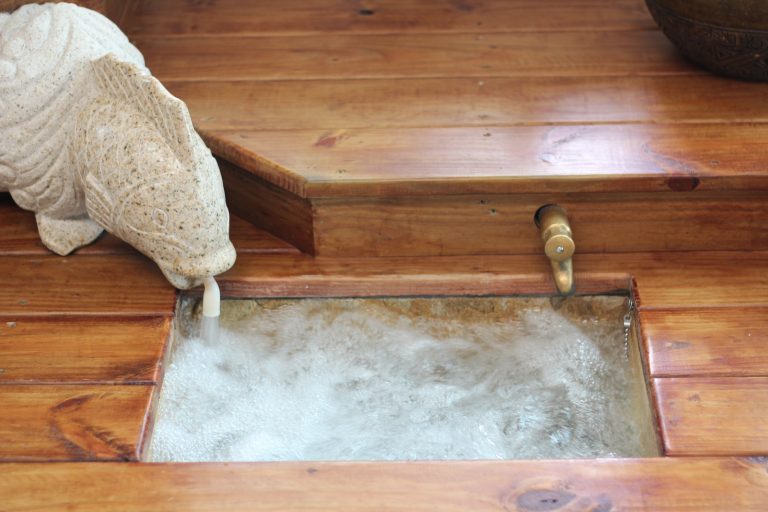 55817180 1403328253143048 3884016591666413568 o 768x512