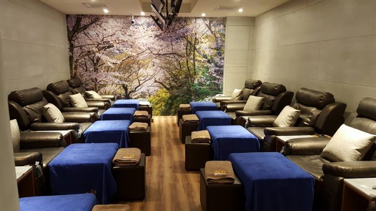 14449049 195384657540217 7705100314126587713 n 768x432