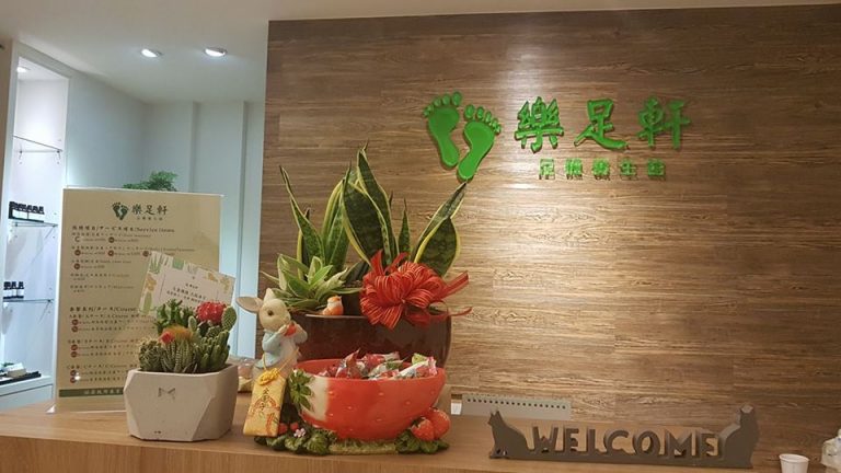 21432908 1941079152822173 6238988532448882623 n 768x432