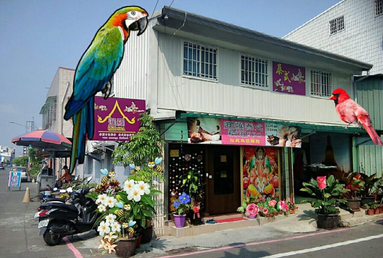 30073178 1512109642221037 2301519783773014622 o 768x517