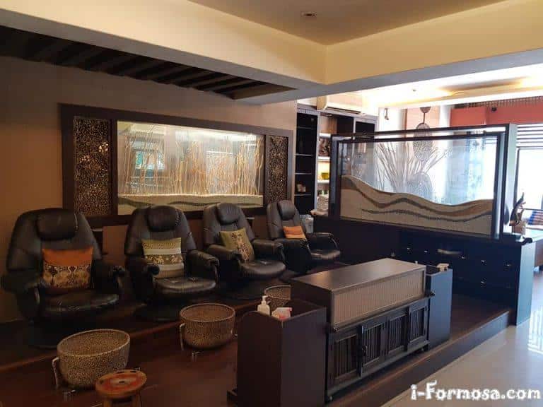 41107291 1943457429045210 8085478030111145984 n 768x576