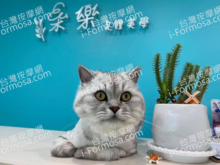 桑樂足體工作室3929 n 768x576