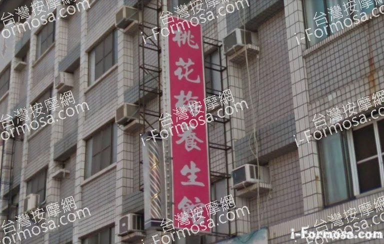 桃花梅養生館 1 768x488