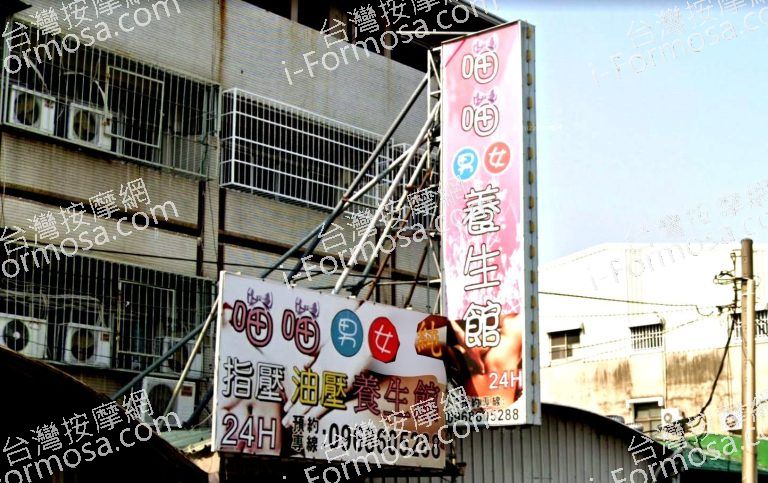 喵喵養生館 6 768x483