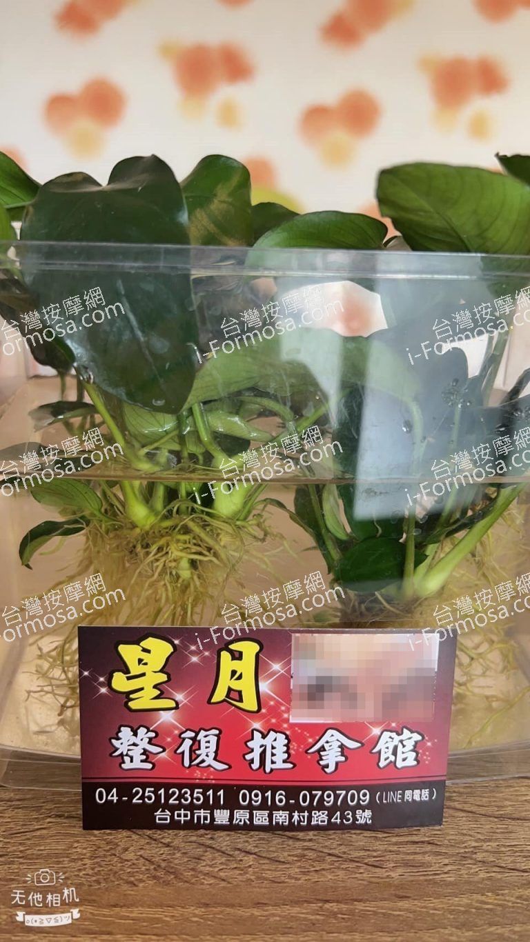 星月整復推拿館7573 n 768x1366