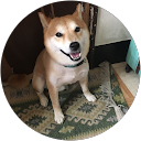 hua Hsu profile picture