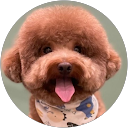 Mag kuo profile picture