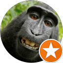 黃曉曦 profile picture