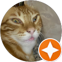 李政璋 profile picture