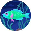 魚（fish） profile picture