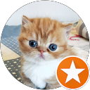 鄭佑琳 profile picture