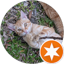Pusa 楊 (人森到處跑) profile picture