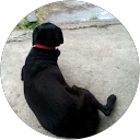 興 profile picture