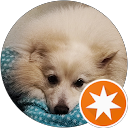 詠昌科技梁家瑋 profile picture