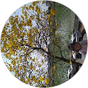 蔣英綢 profile picture