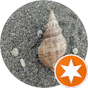 shell profile picture