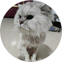 陳錢湧 profile picture
