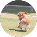 尤雅筠 profile picture
