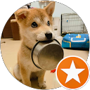 XiaoYao profile picture