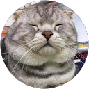 Rapha profile picture
