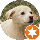 ベアエリー profile picture