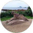 百思不解 profile picture