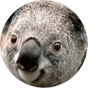 Rhan profile picture