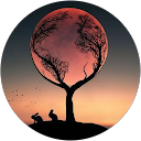 星光 profile picture