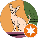 Nina profile picture