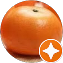 椪柑 profile picture