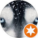 Mango profile picture