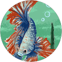 林靈 profile picture