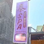 taispa 150x150