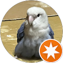 R profile picture