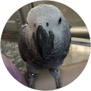 uu Qiu profile picture