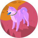 Jay shun profile picture