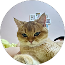 尤翠蓮 profile picture