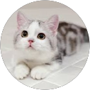 耀文 profile picture
