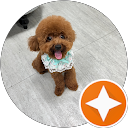 怡臻李 profile picture
