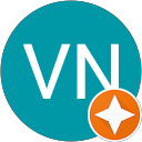 VN VN profile picture
