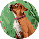BRANDER profile picture