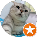 Fifi Chang profile picture