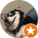 Shore誠 profile picture