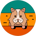 烘豆蕾絲 profile picture
